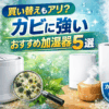 カビに強い加湿器おすすめ5選｜買い替えで冬の衛生対策も万全！